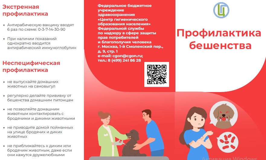 бешенство
