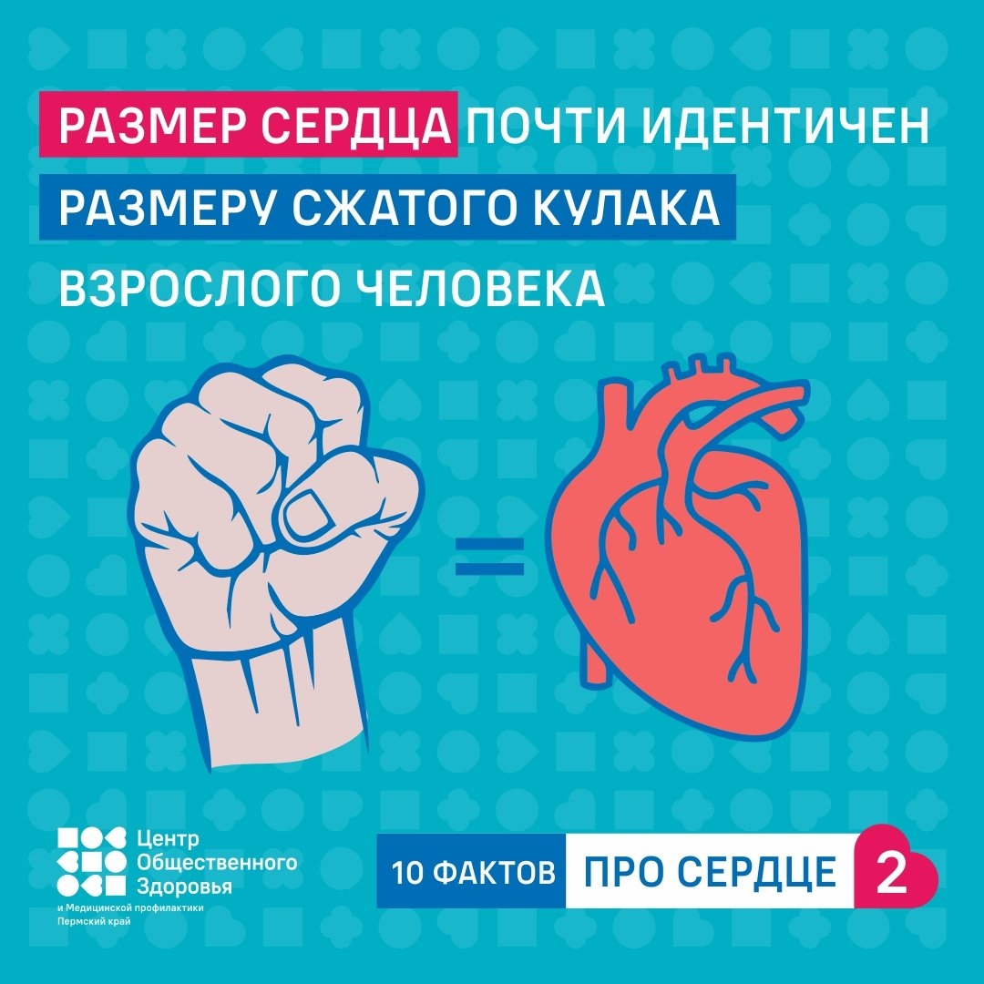 сс