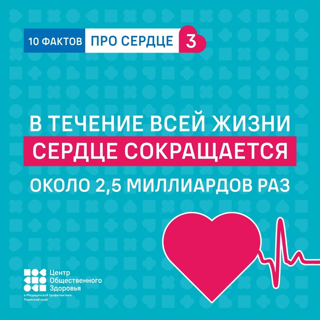 ссс