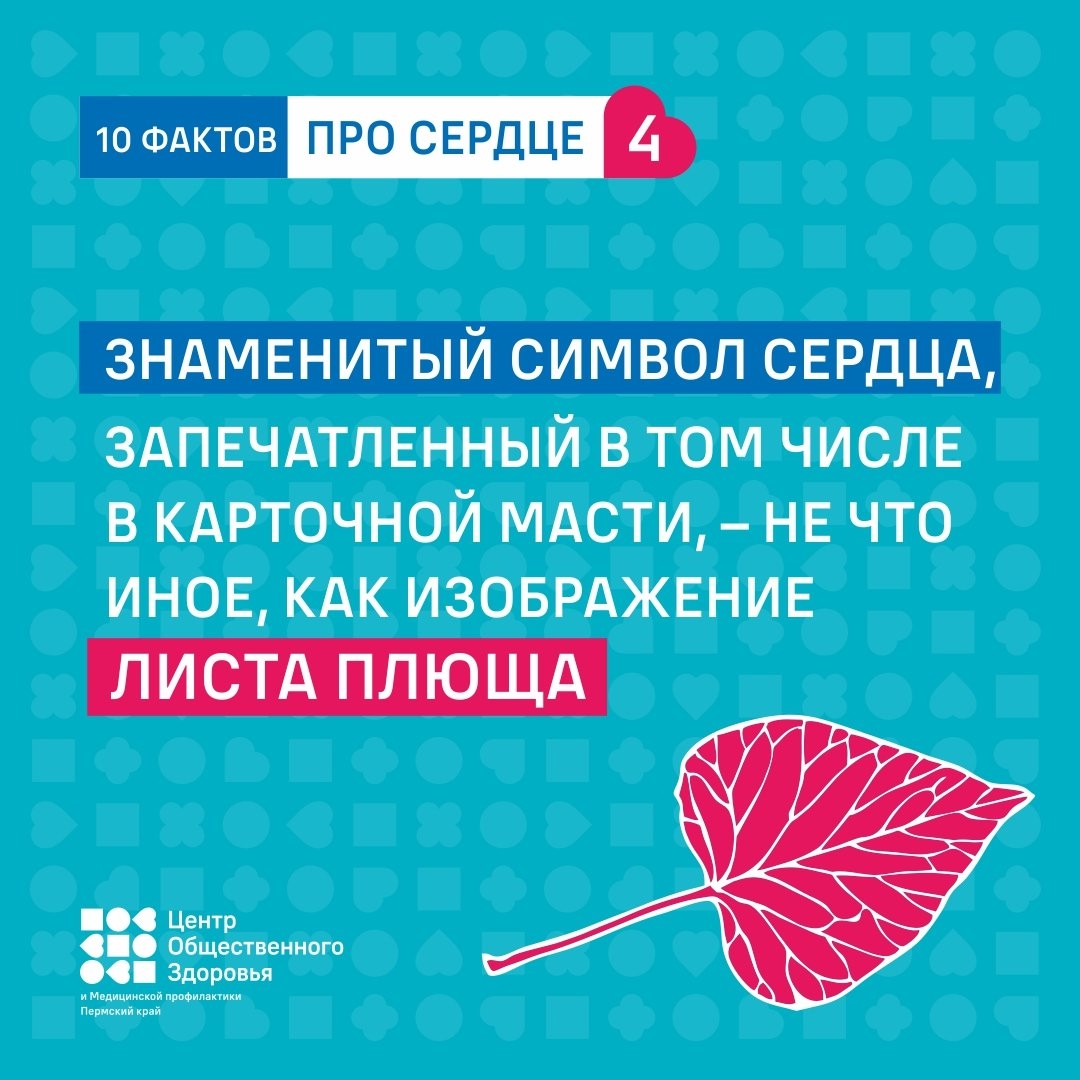 сссс